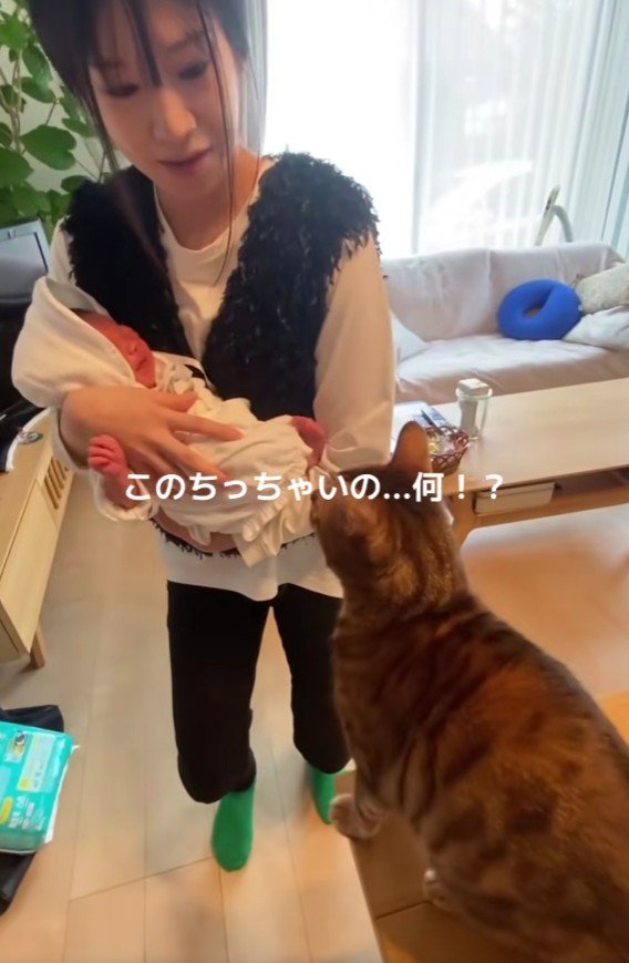 赤ちゃんを抱っこした女性と猫