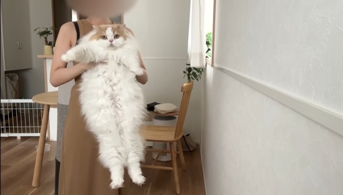 抱っこされるレモンくん