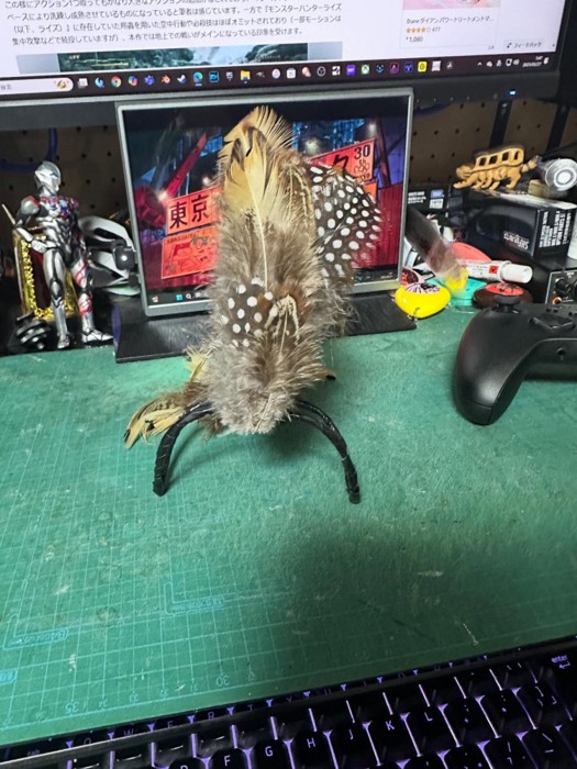 正面から見た羽がついたアイテム