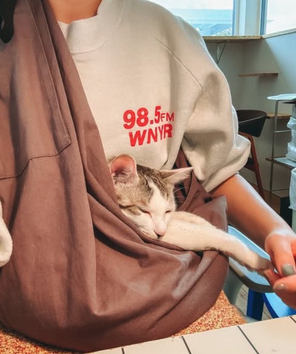 抱っこ紐の中に入って寝ている猫
