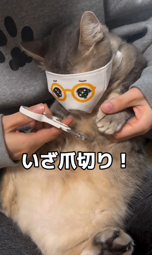 マスクをつけたココスくん