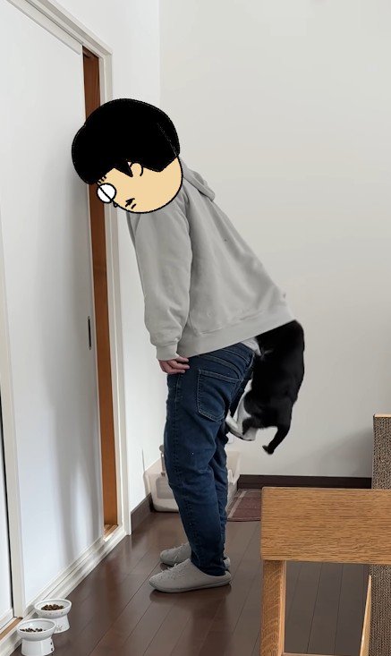 飼い主の脚をよじ登る猫