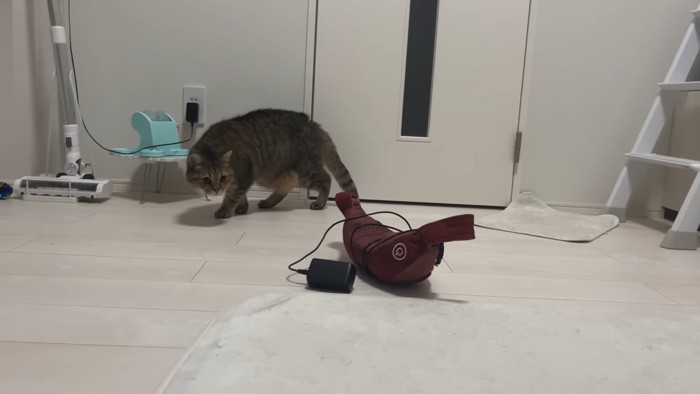 見つめながら歩いて