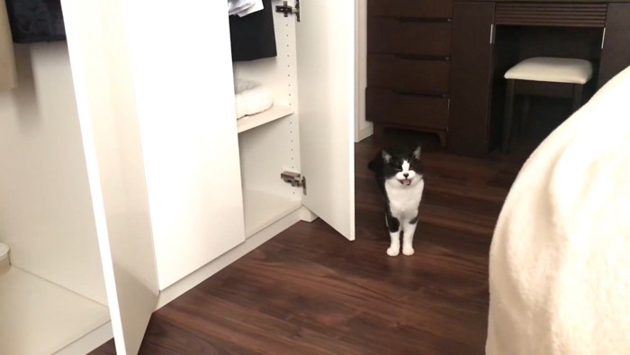 鳴いているおむすびちゃん