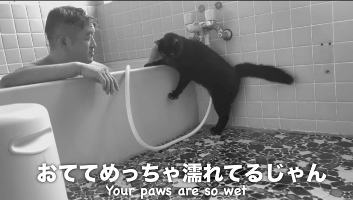 浴槽に前足を乗せる猫を撫でる男性