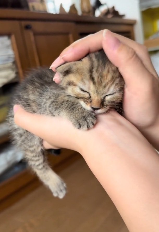 幸せそうなツナちゃん