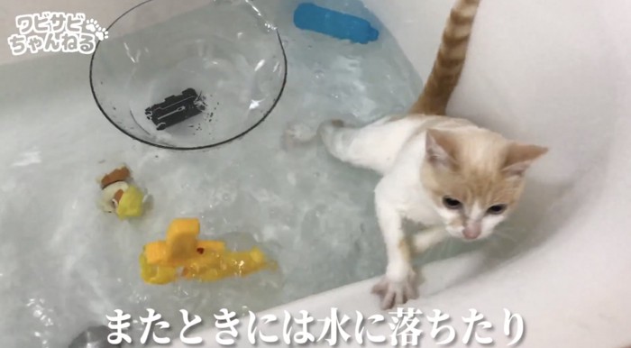 水に落ちた雪見ちゃん