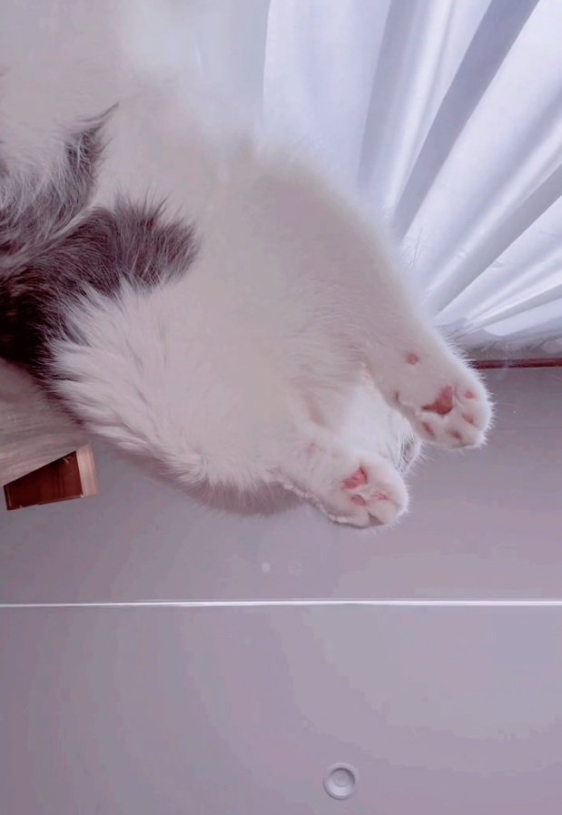 「おててあるある」をするなぎくん