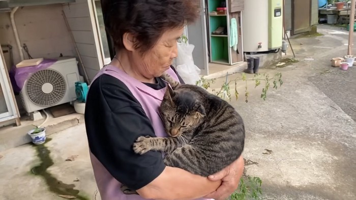 抱っこされ力を抜いている猫