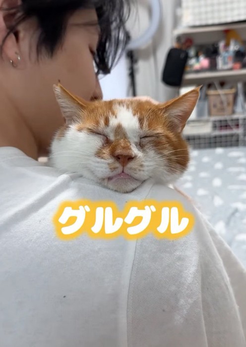 ゴロゴロ喉を鳴らす