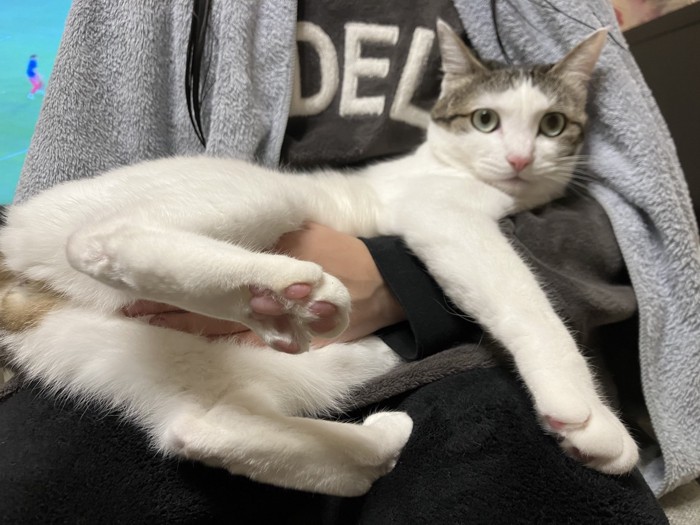 抱っこされるリボンちゃん