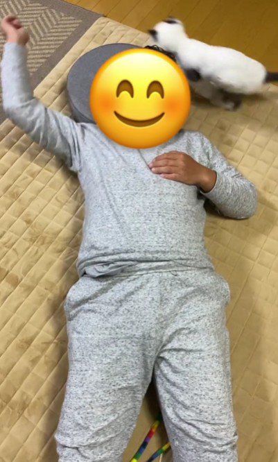 仰向けで寝ている人と猫じゃらしを追いかけている猫