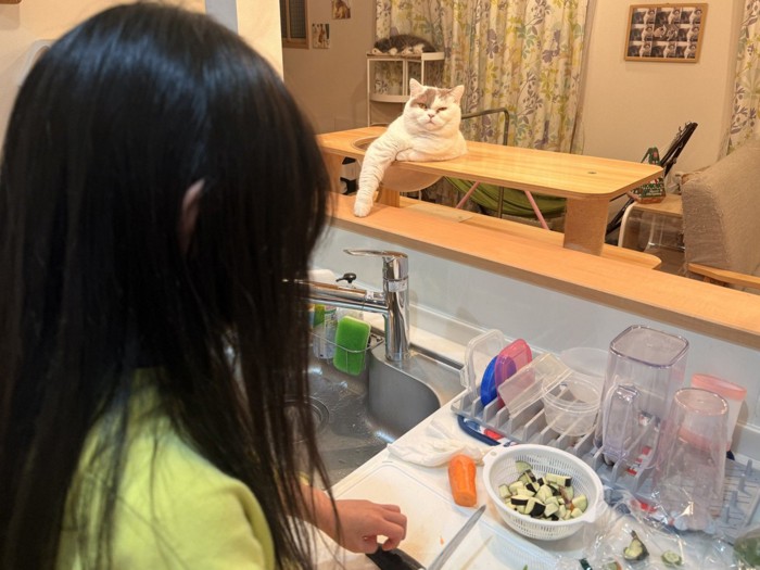 娘さんが包丁を使っているところ