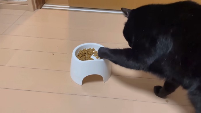 皿に手をいれるすみおくん