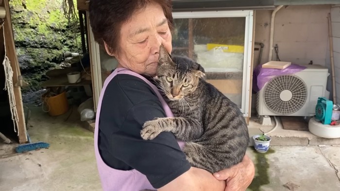 抱っこされる猫