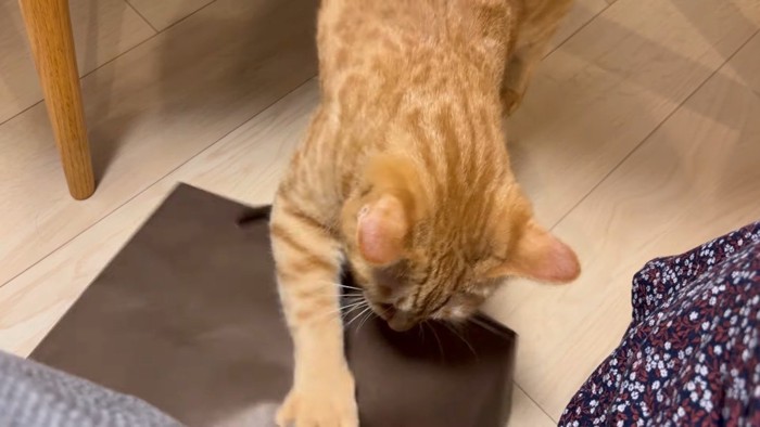 片手でホリホリ