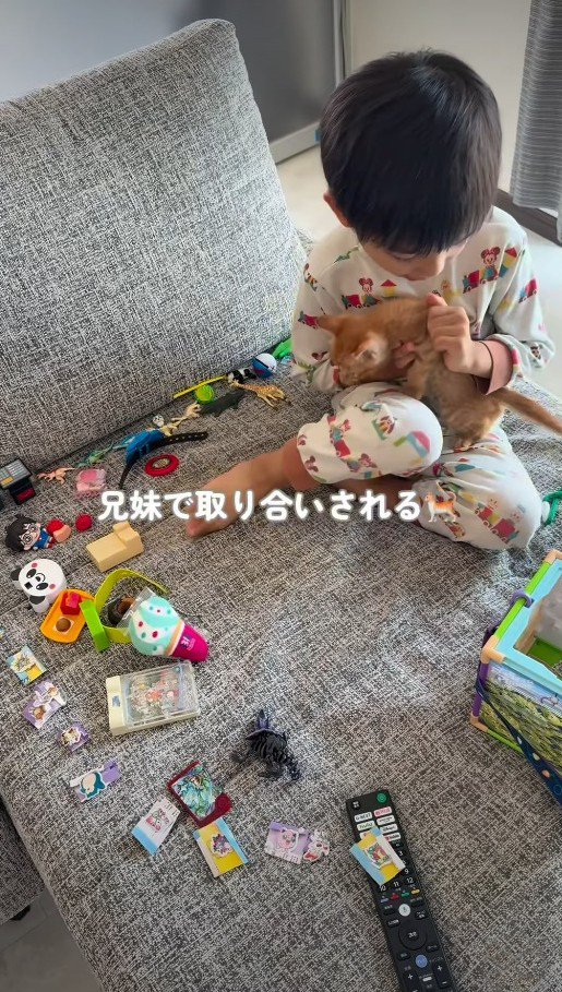 子猫を抱っこする男の子