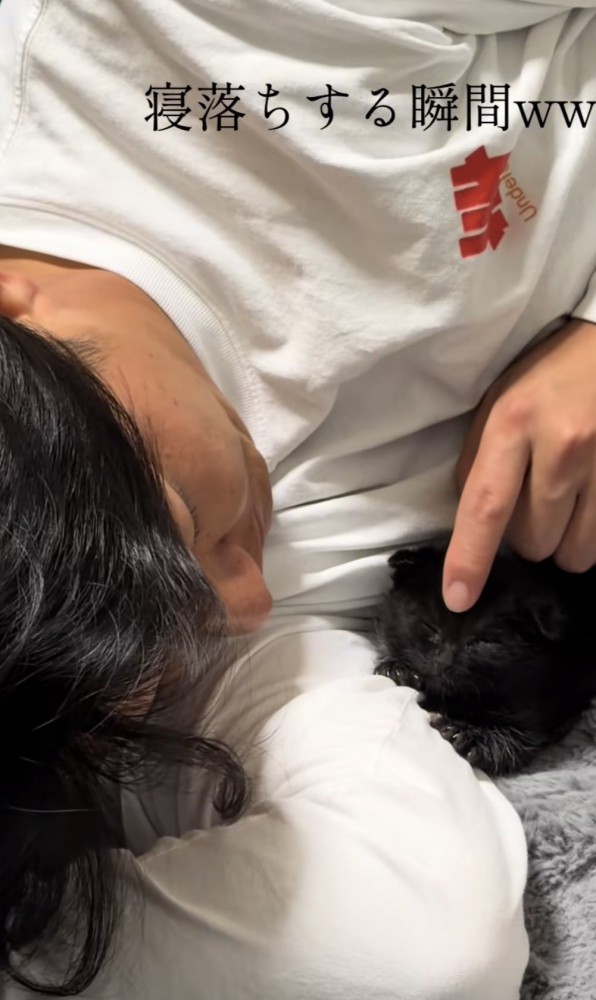 寝ころんでいる猫の写真1