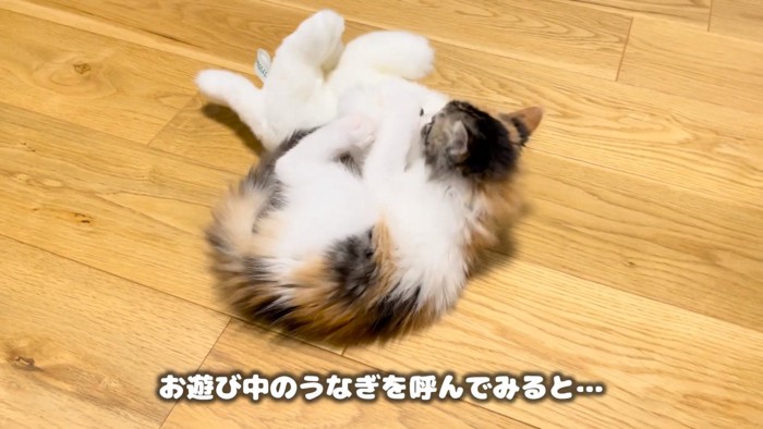 ぬいぐるみを抱っこ