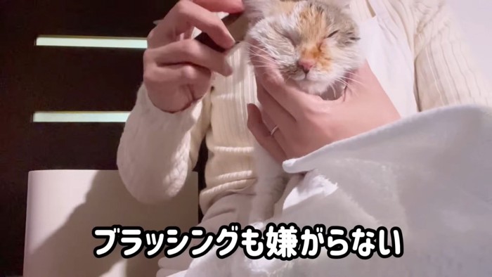 テロップ「ブラッシングも～」