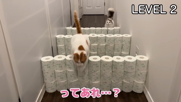 3列飛び越える師匠