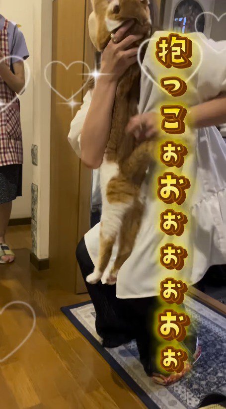 直立した猫を抱き抱える女性