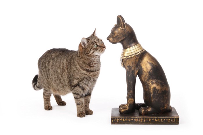 古代エジプト猫の像を見るキジ猫
