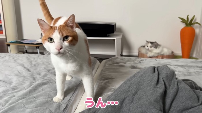 ご主人に近づく師匠