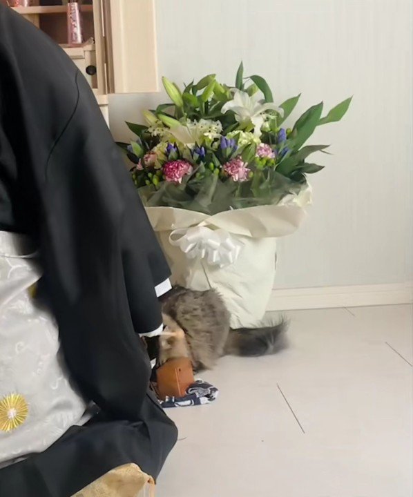 お経を唱えるお坊さん