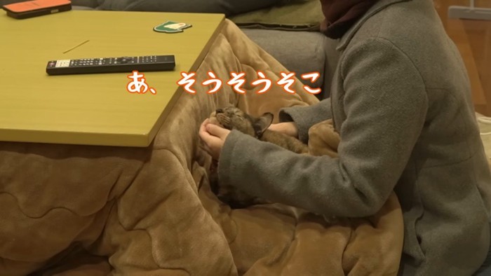 あ、そうそうそこ