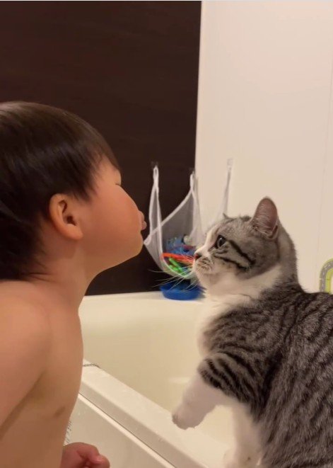 猫にキスをしようとしている子ども