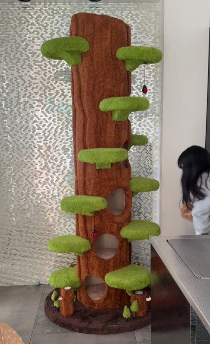 猫を抱える女の子