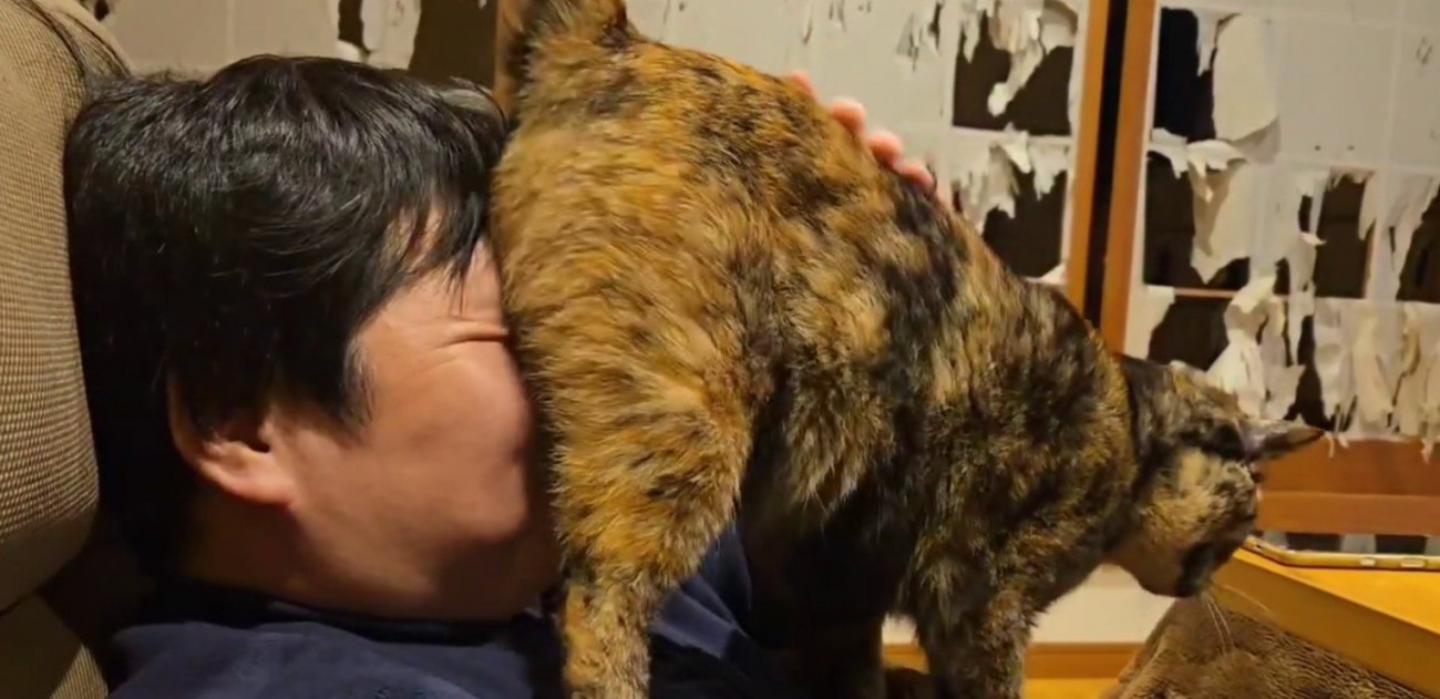 飼い主の顔におしりを押しつける猫