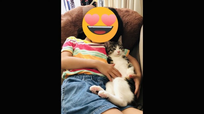 女の子に抱かれてお腹を撫でられる仔猫