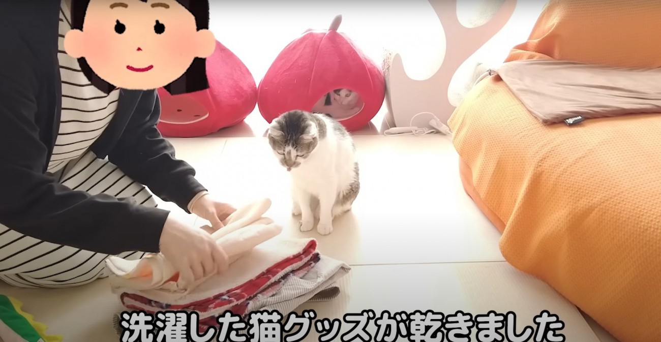 洗濯物を確認するささみくん