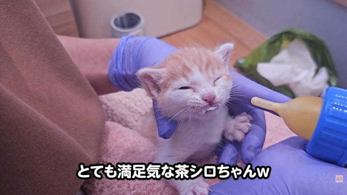 テロップ「とても満足気な~」