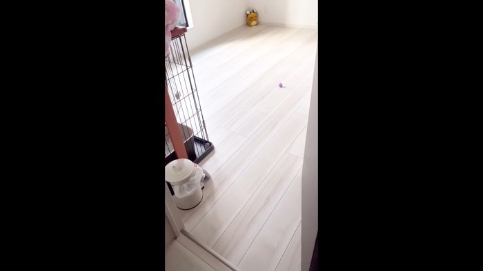 お部屋
