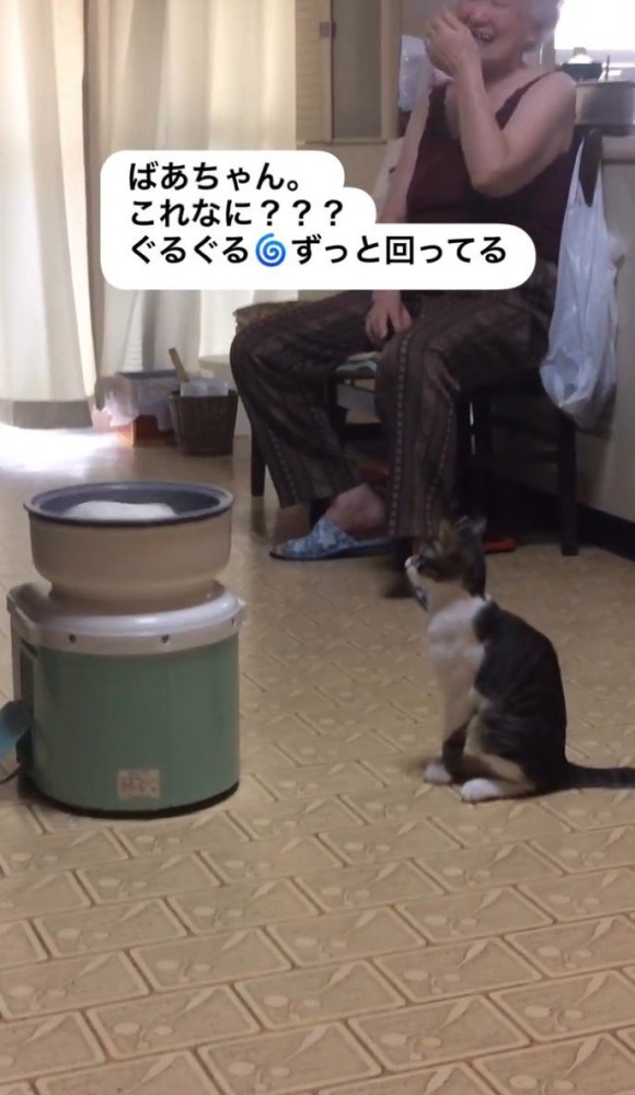 餅つき機の前で座る猫