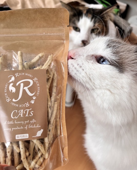 猫用うどんとみかんちゃん