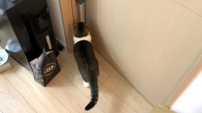 少し開いたドアの前で