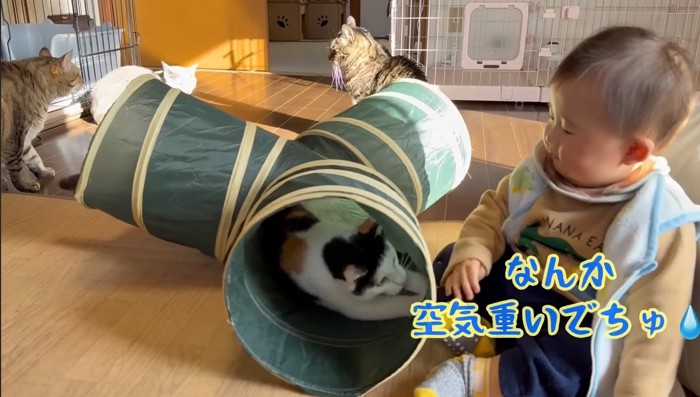 空気重いでちゅ