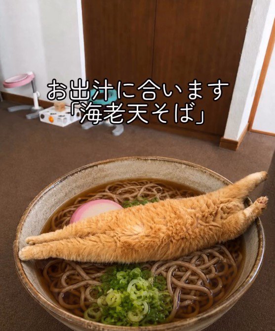 AIが生成した、蕎麦の上に乗った猫の画像