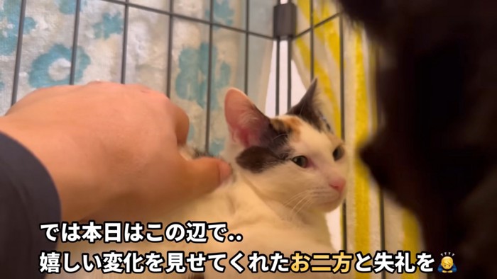 テロップ「では本日は～」