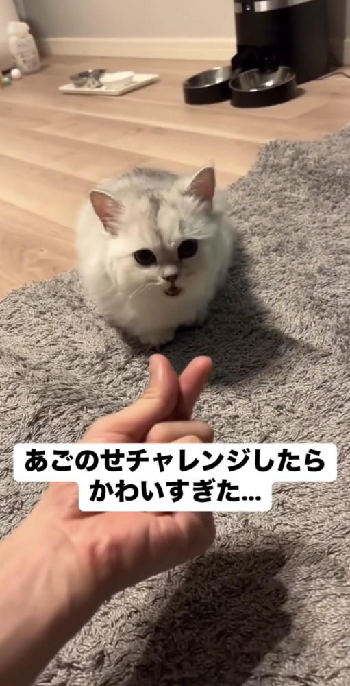 あごのせチャレンジ開始