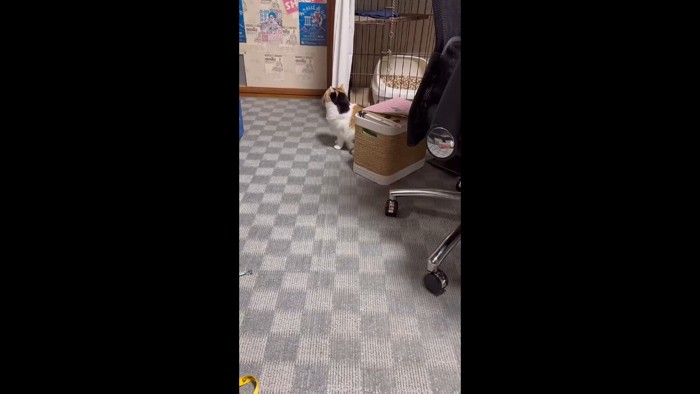 そっぽを向く姿