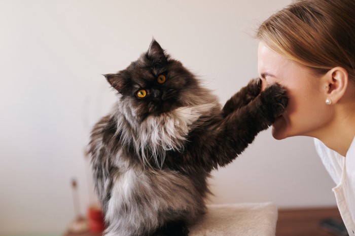 飼い主の顔を抑える猫