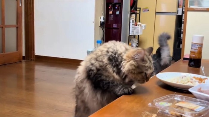 匂いを嗅ぐちゃちゃちゃん