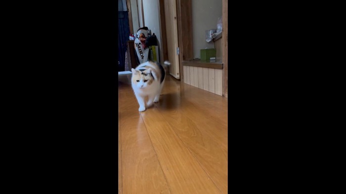 駆け寄ってくる姿