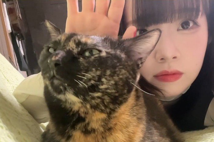 人といっしょにいる猫