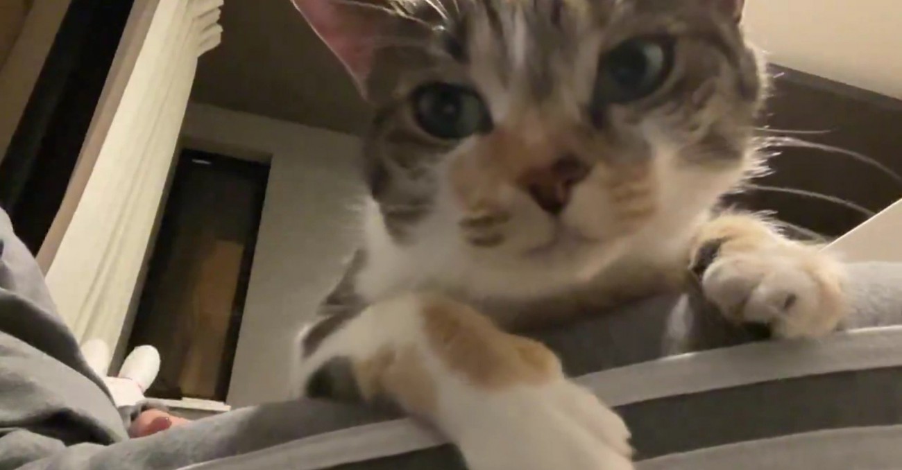 インカメラで撮影中のむーちゃん